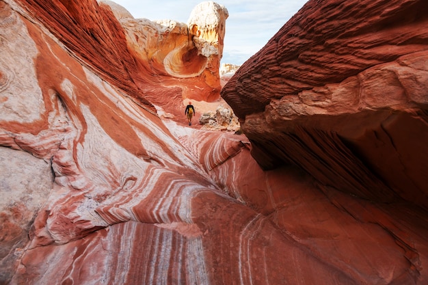 Vermillion Cliffs Wilderness Area, 유타 및 애리조나의 코요테 뷰트