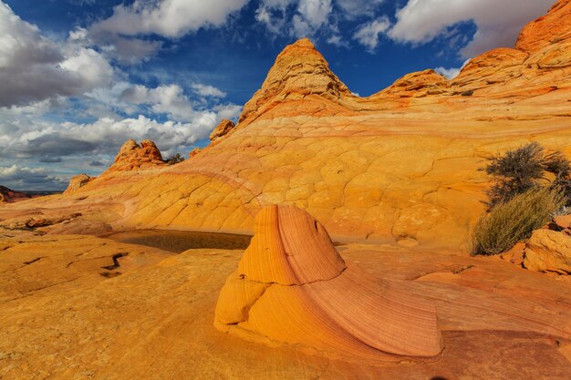 Coyote Buttes of the Vermillion Cliffs Wilderness Area, Utah and Arizona