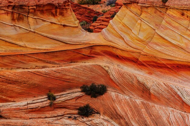 Coyote Buttes of the Vermillion Cliffs Wilderness Area, Utah and Arizona