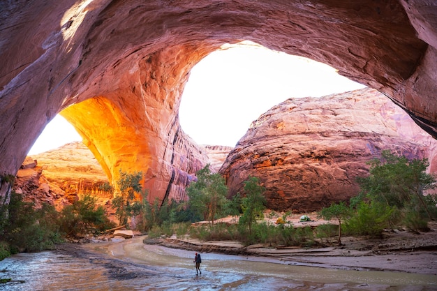 Vermillion Cliffs Wilderness Area, 유타 및 애리조나의 코요테 버트