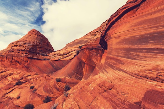 Coyote Buttes