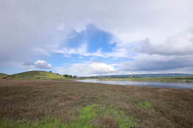 Photo coyote hills fremont california