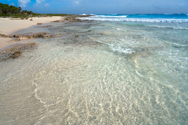 Cozumel island Bush beach in Riviera Maya