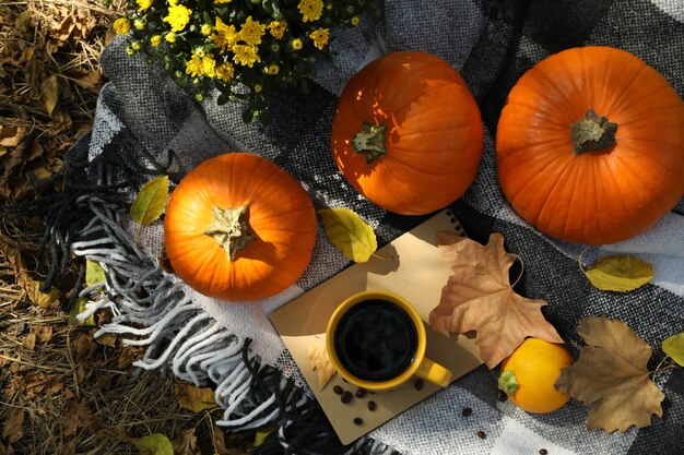 Cozy autumn concept with pumpkins outdoor