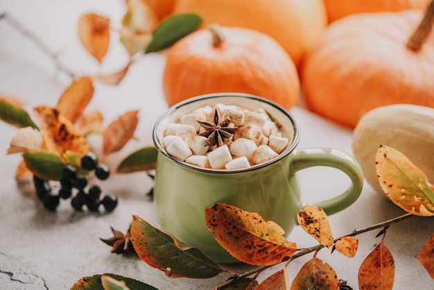 Cozy autumn hot drink with marshmallow rowan berries pumpkin and yellow maple leaves