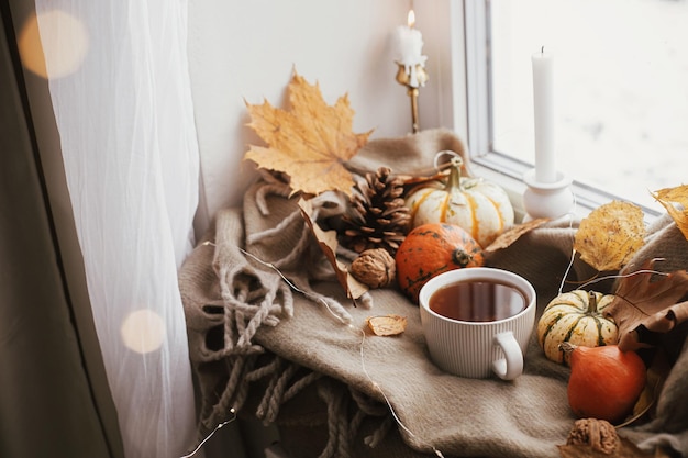 Фото Уютная осень теплая чашка чая тыквы осенние листья свечи боке на удобном коричневом шарфе на подоконнике с днем благодарения осенний хюгге осенний домашний декор