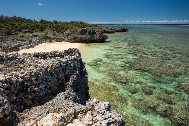 Photo cozy beach with emerald green sea full of coral reef seen from the top of the samurai family ruins japan