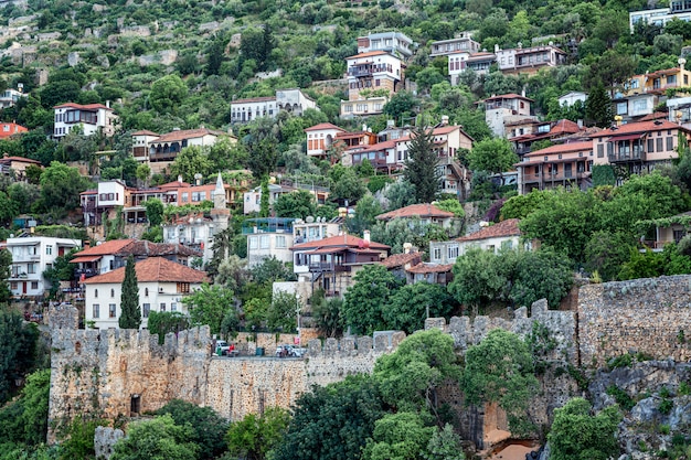 Cozy beautiful houses in the dense greenery of trees by the sea.