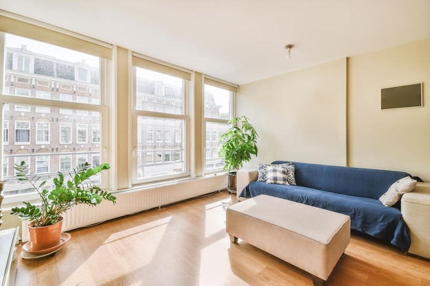 Cozy and bright living room