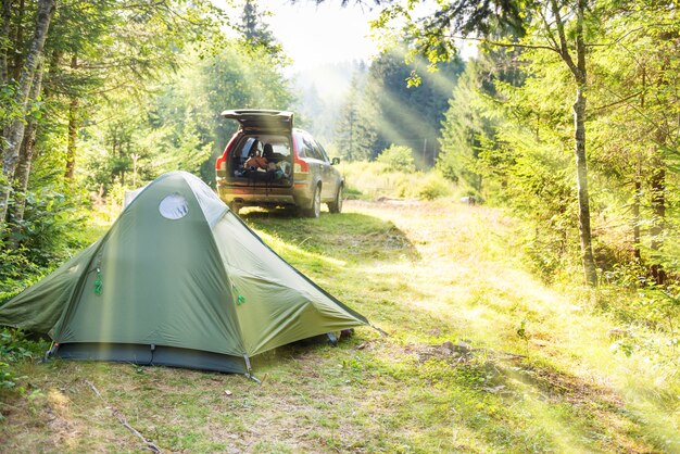 Cozy camping on green sunny lawn with tent and a car