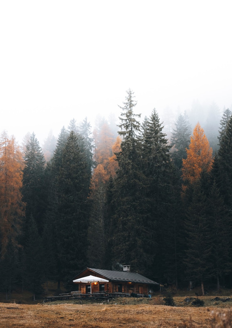 Photo 가을 자연 속 아늑한 별장
