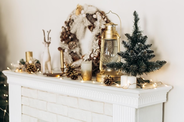 居心地の良いフラットアパート 写真スタジオの部屋 緑のクリスマスツリー プレゼントの花束