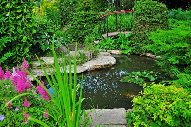 Photo a cozy garden with a decorative lake and a bridge in summer.