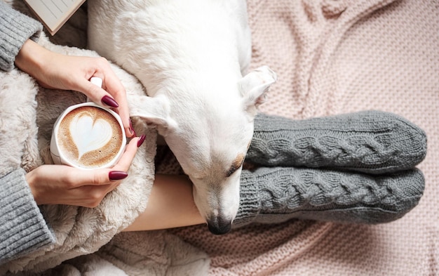 暖かい毛布で覆われた居心地の良い家の女性は、女性の隣で犬を寝てコーヒーを飲みます