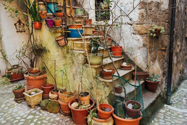 Cozy Italian courtyard with stairs and plants.