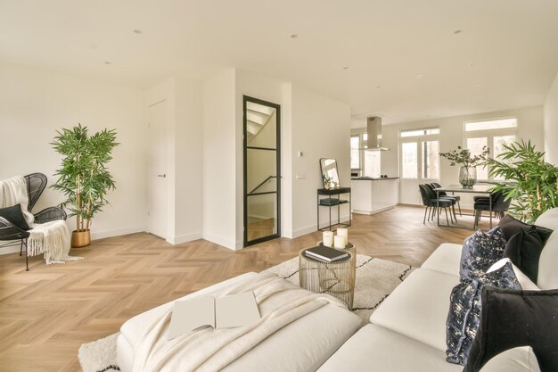 Cozy living room in white tones