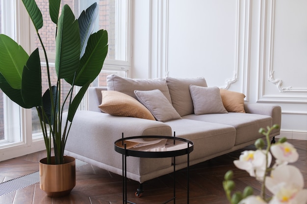 Cozy living room with a large sofa houseplants white walls and floor windows