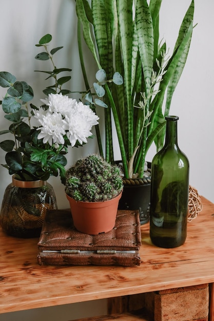 Cozy modern interior with a lot of plants