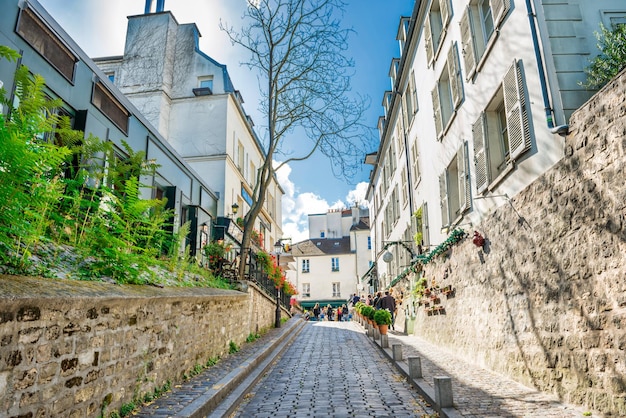 Cozy tourist alley in Paris Monmartre