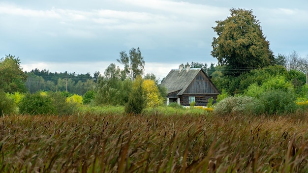 Cozy wooden house in the forest on the shore of a lake\
overgrown with reeds an uninhabited abandoned village house in a\
cozy and quiet place far from the bustling city landscape autumn\
forest