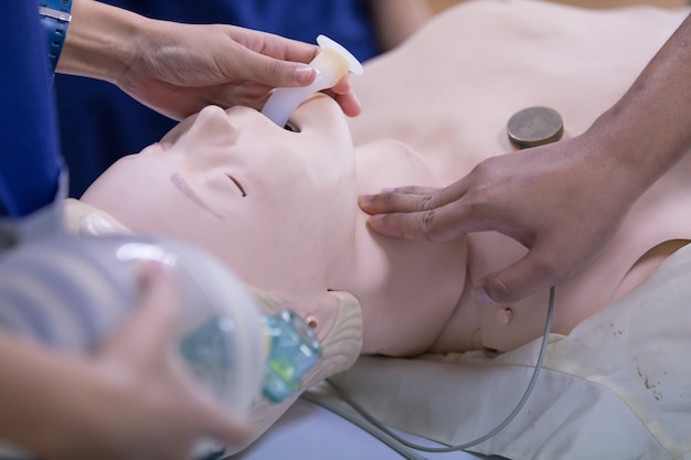 CPR training medical procedure, on CPR doll in the class 