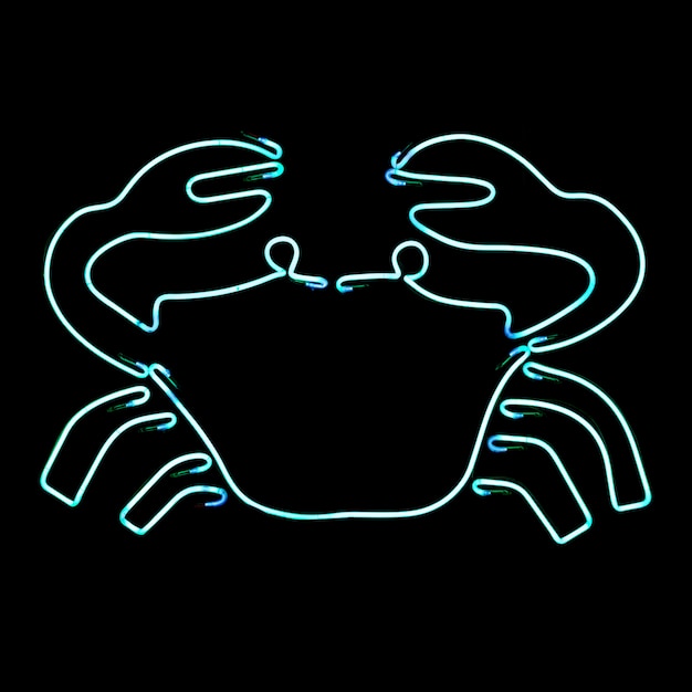 Photo crab neon light