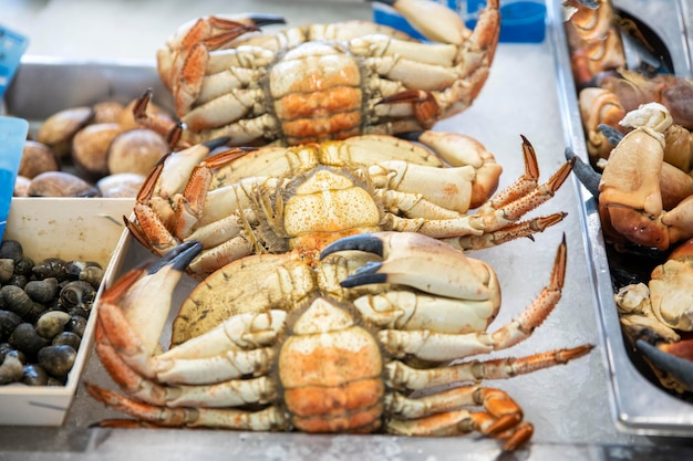 Crabs at the fish market belly up