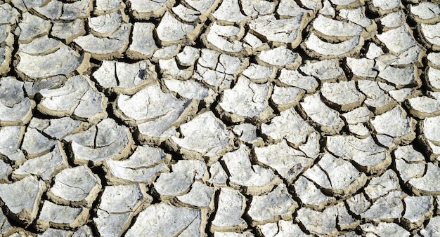 Foto crack aarde achtergrond met grond grijs droog in het zomerseizoen