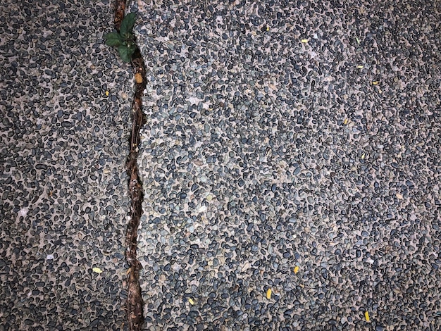 Crack in grey concrete surface on the road