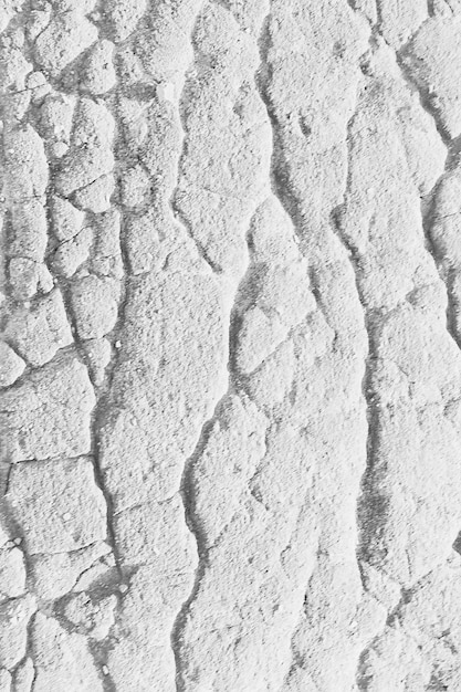 Crack on the ground white background / abstract white vintage\
background broken texture