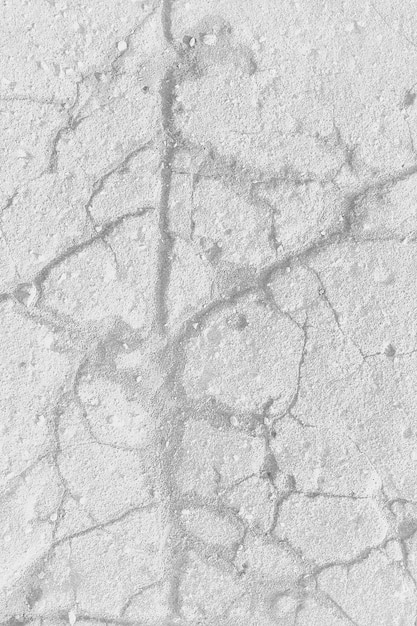 crack on the ground white background / abstract white vintage background broken texture