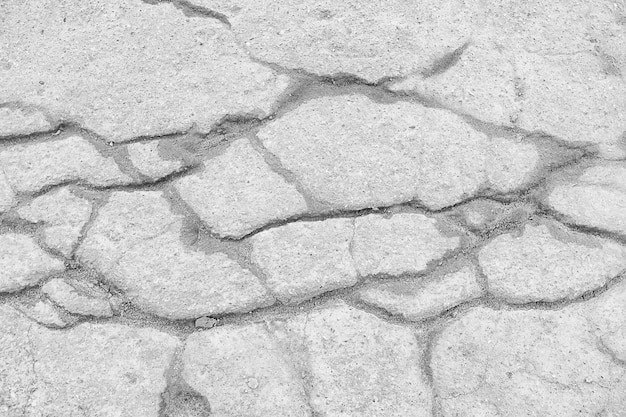 crack on the ground white background / abstract white vintage background broken texture