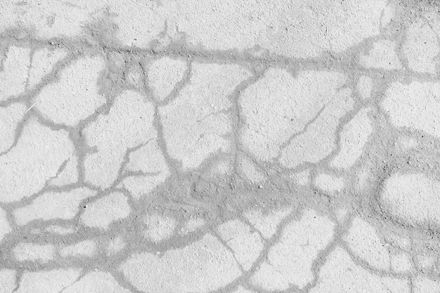 crack on the ground white background / abstract white vintage background broken texture