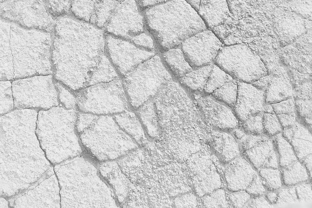 Crack on the ground white background / abstract white vintage\
background broken texture