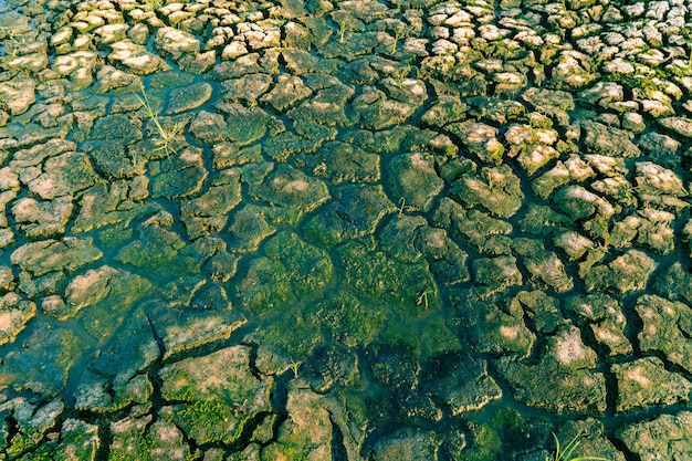 Crack land droogte en milieu crisis concept.