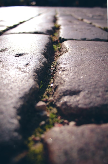 Crack in the pavement closeup