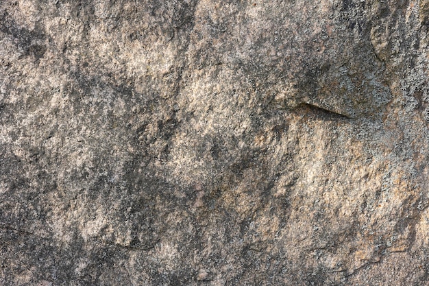 A crack in a rock