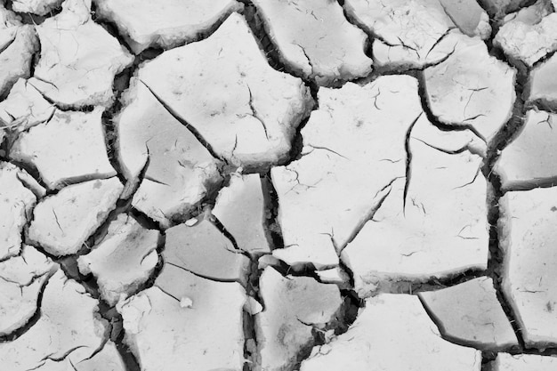 Трещины почвы в сухой сезон, Глобальный глистогонный эффект.