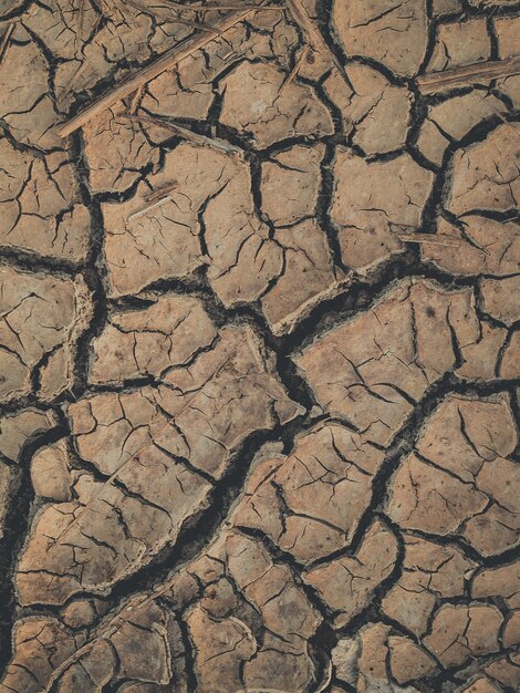 Crack soil dry