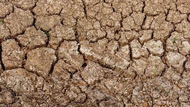 夏に土の質感を亀裂します。地球規模の気候から