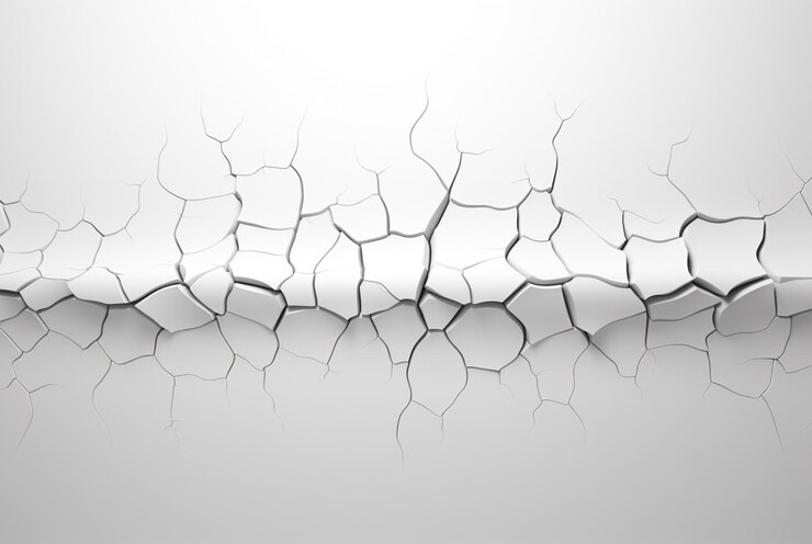 Photo crack wall in white and black vector illustration