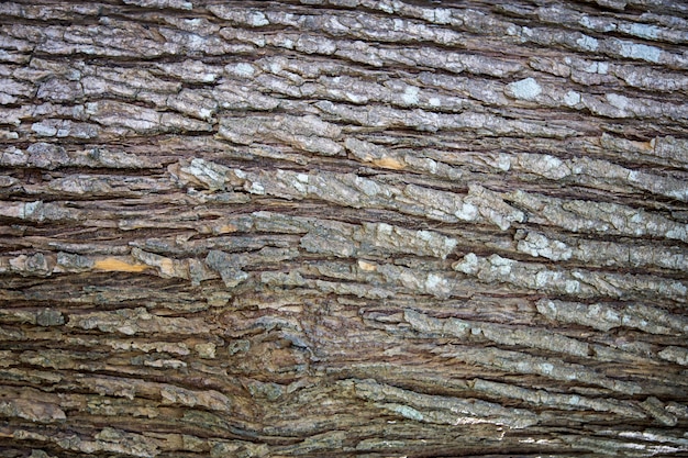 crack wood texture background