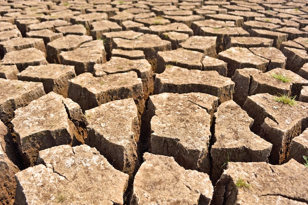 Cracked and barren ground