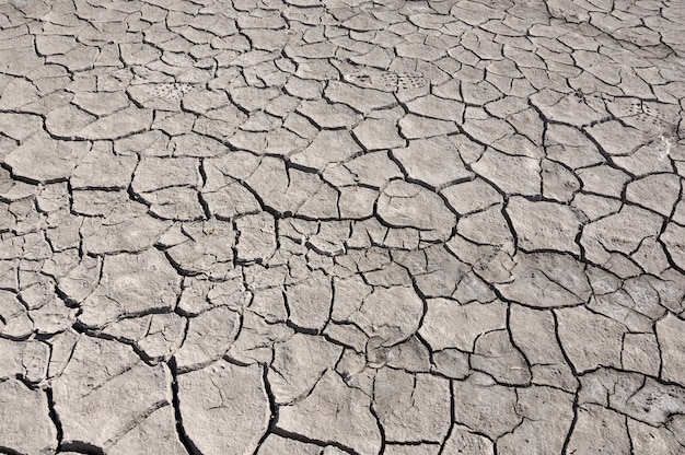 Cracked by drought the ground