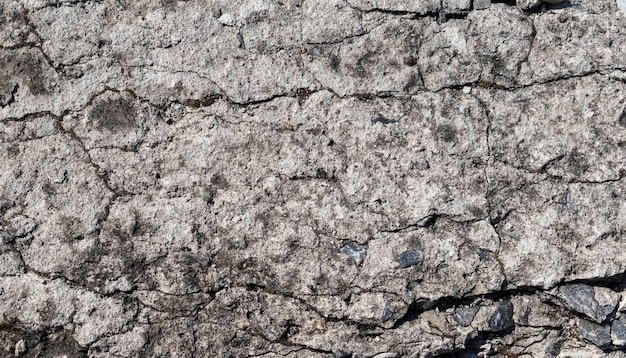 Fondo concreto incrinato del primo piano di struttura