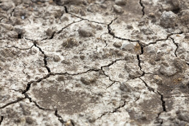 Cracked dry dirt flat surface, abstract texture, copy space background