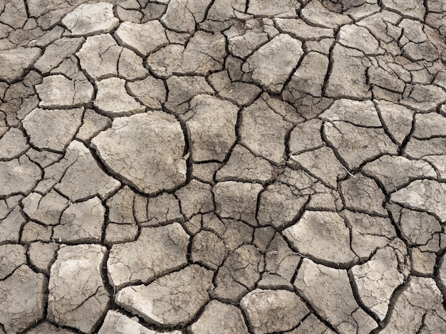 Terreno asciutto incrinato. cambiamenti climatici, riscaldamento globale, siccità.