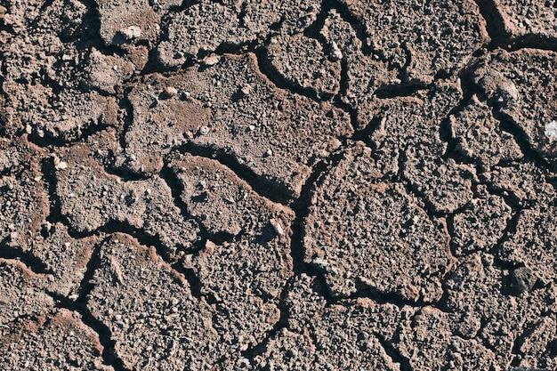 Cracked dry ground