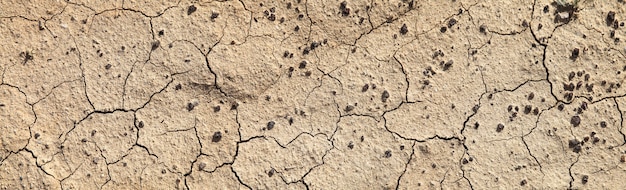 Cracked dry land in the desert