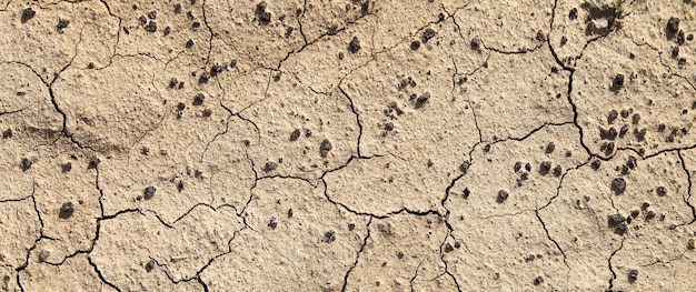 Треснувшая суша в пустыне